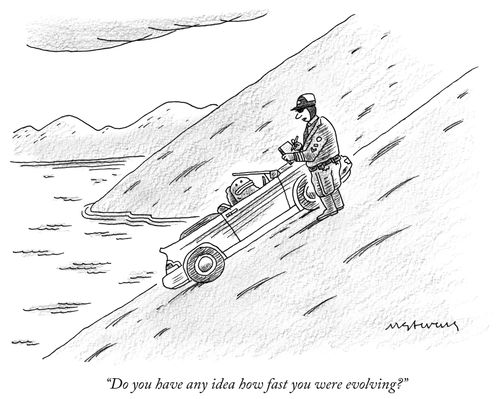 "Do you have any idea how fast you were evolving?"