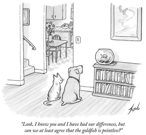 "Look, I know you and I have had our differences, but can we at least agree that the goldfish is pointless?"