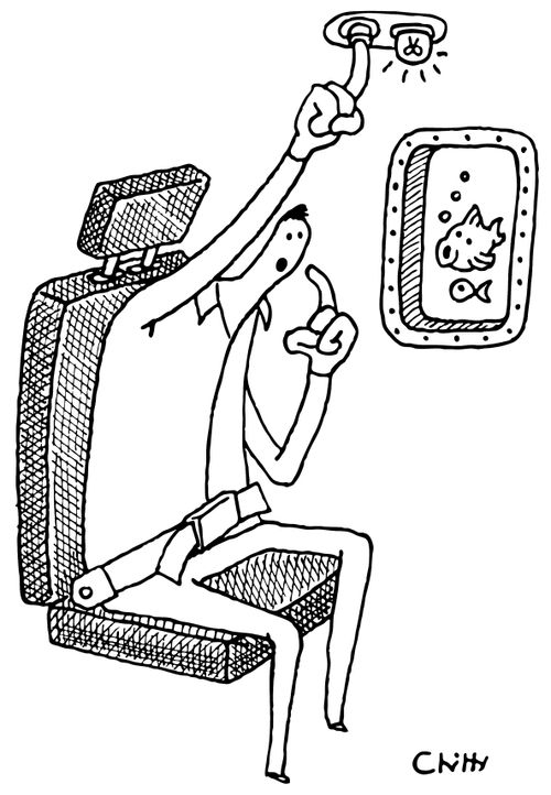 A passenger presses the service button upon seeing fish outside his window.