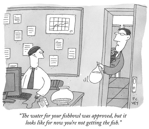 "The water for your fishbowl was approved, but it looks like for now you're not getting the fish."