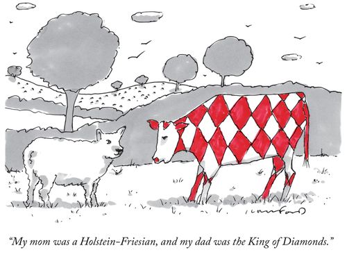 "My mom was a Holstein-Friesian, and my dad was the King of Diamonds."