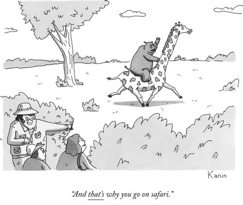 "And that's why you go on safari."