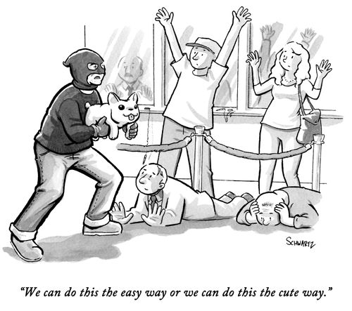 "We can do this the easy way or we can do this the cute way."