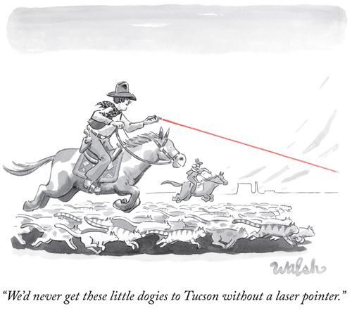 "We'd never get these little dogies to Tucson without a laser pointer."