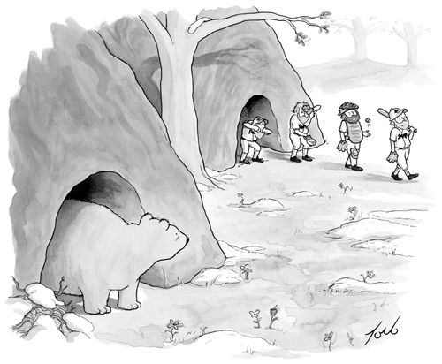 Baseball team emerging from hibernation