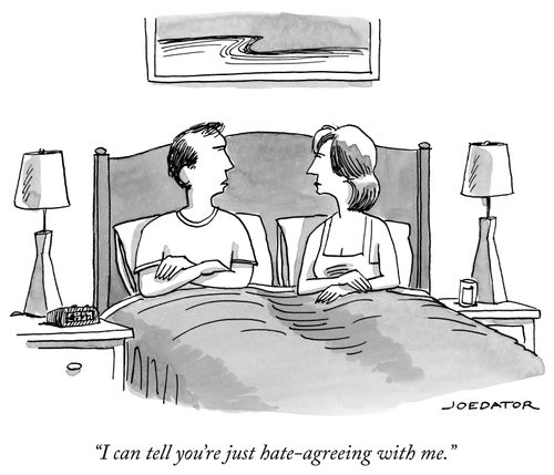 "I can tell you're just hate-agreeing with me."
