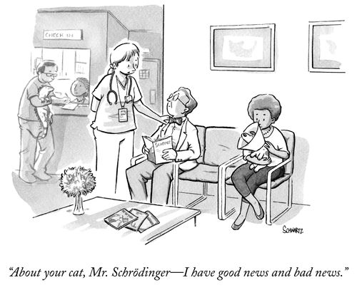 "About your cat, Mr. Schrödinger - I have good news and bad news."