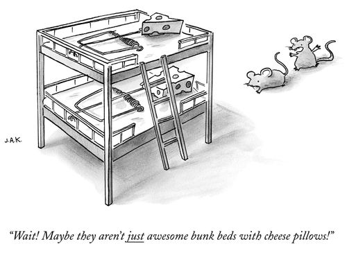 "Wait! Maybe they aren't just awesome bunk beds with cheese pillows!"
