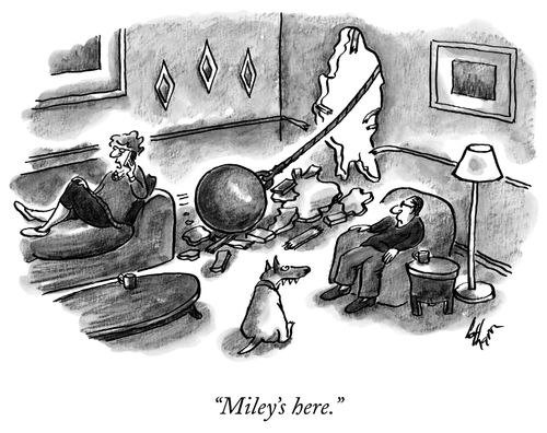 "Miley's here."