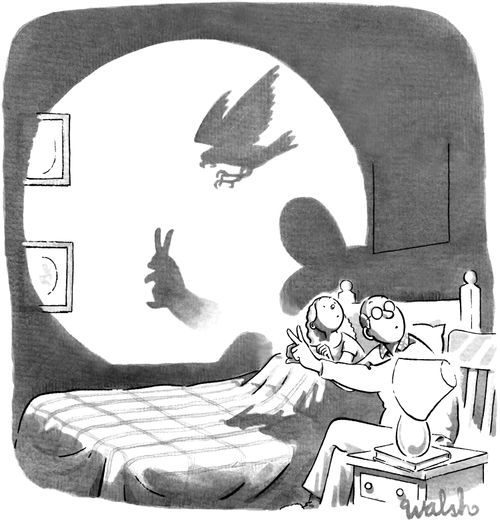 Shadow Puppet Bunny Threatened By Shadow Hawk
