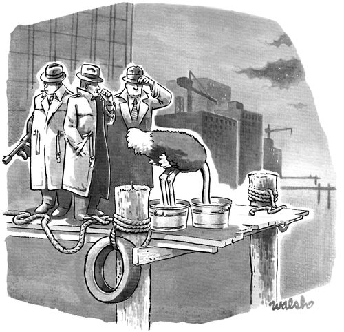 An ostrich puts its head in cement shoes.