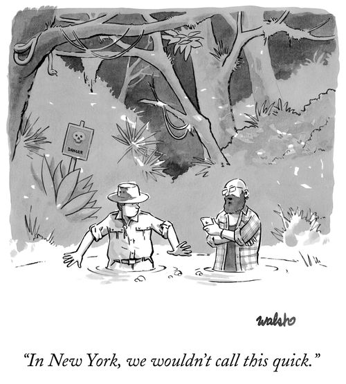 "In New York, we wouldn't call this quick."