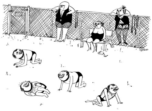 A human dog park.