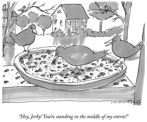 "Hey, Jerky! You're standing in the middle of my entrée!"