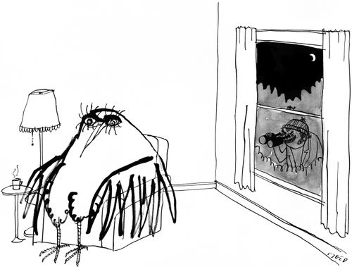 Bird Watching