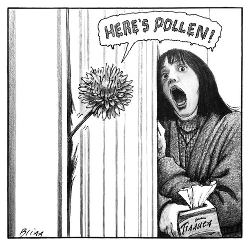 "Here's Pollen!"