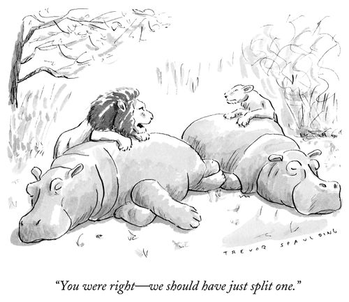 "You were right-we should have just split one."