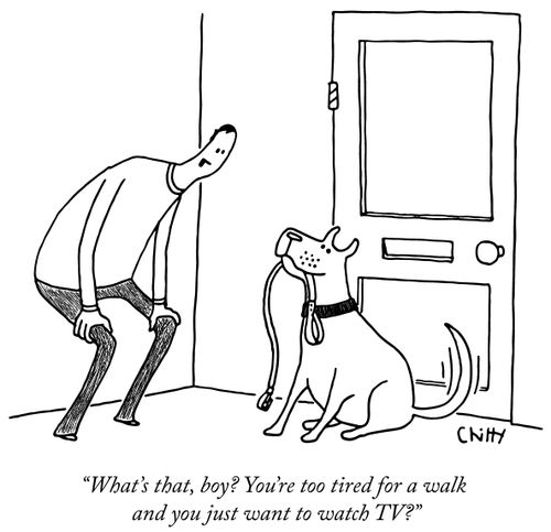 Whatís that, boy? Youíre too tired for a walk and you just want to watch TV?