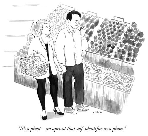 "It's a pluot—an apricot that self-identifies as a plum."
