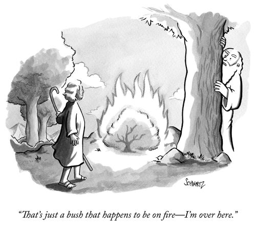 "That's just a bush that happens to be on fire - I'm over here."