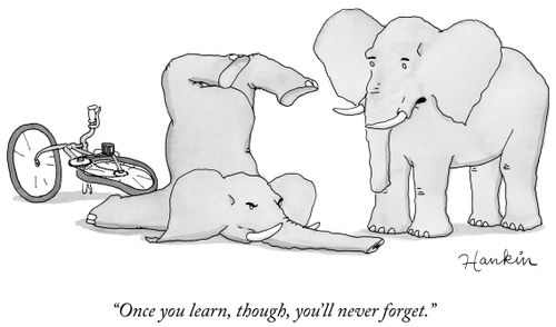 "Once you learn, though, you'll never forget."