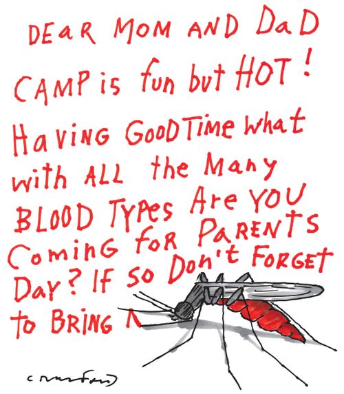 A mosquito writes a letter to a camper's parents in blood.