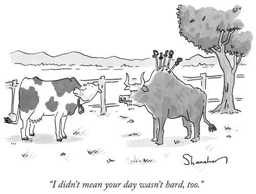 "I didn't mean your day wasn't hard, too."