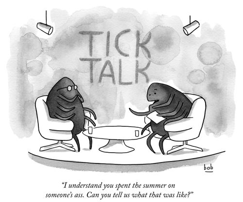 "I understand you spent the summer on someone's ass. Can you tell us what that was like?"