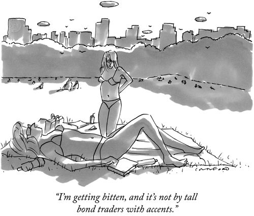 "I'm getting bitten, and it's not by tall bond traders with accents."