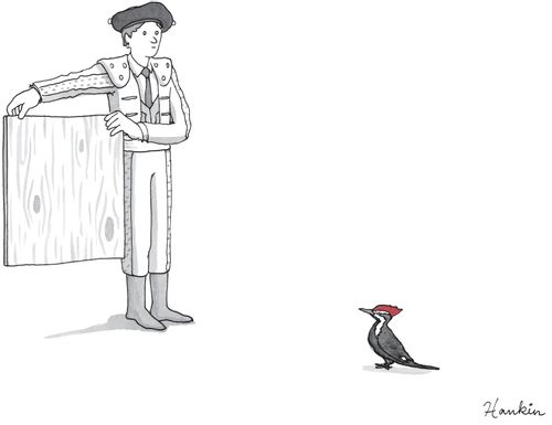 Matador Holds Up Wooden Board For Woodpecker