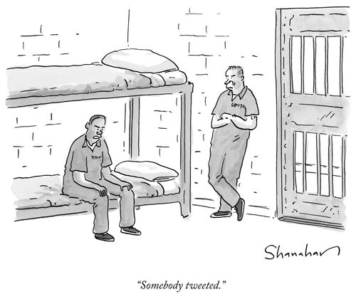 "Somebody tweeted."
