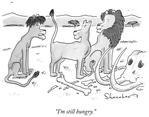 "I'm still hungry."