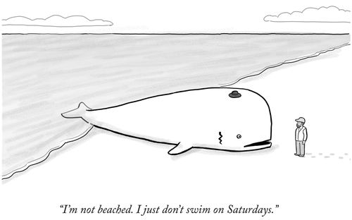 "I'm not beached. I just don't swim on Saturdays."