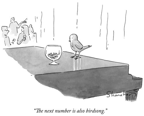 "The next number is also birdsong."