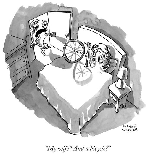 "My wife? And a bicycle?"