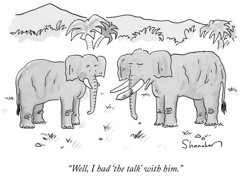 "Well, I had 'the talk' with him.