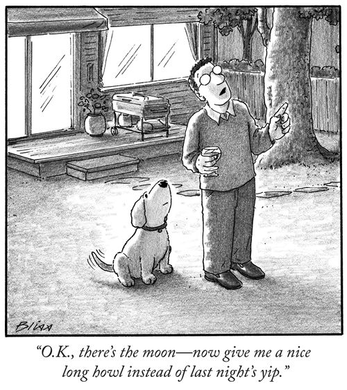 "O.K., there's the moon - now give me a nice long howl instead of last night's yip."