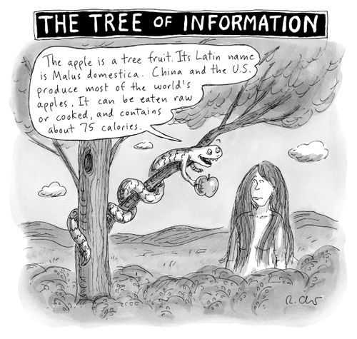 The Tree of Information