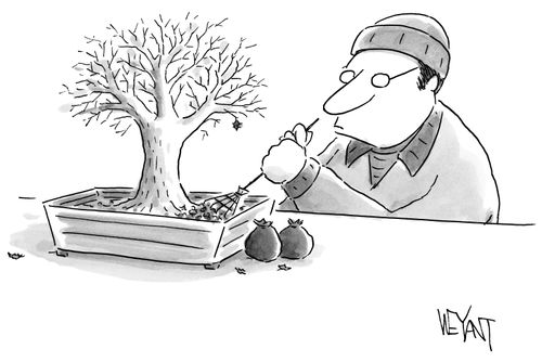 Bonsai Gardener