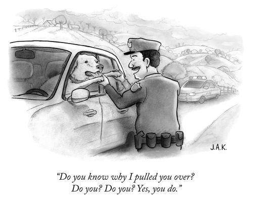 "Do you know why I pulled you over? Do you? Do you? Yes, you do."