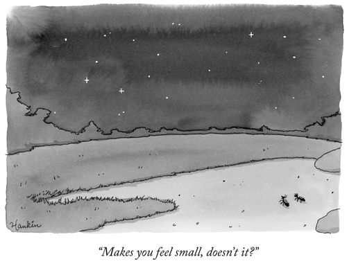 "Makes You Feel Small Doesn't It"