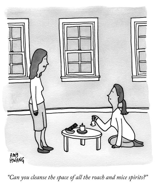 "Can you cleanse the space of all the roach and mice spirits?"