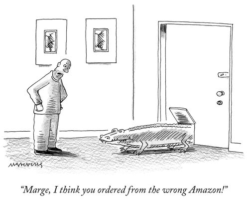 "Marge, I think you ordered from the wrong Amazon!"