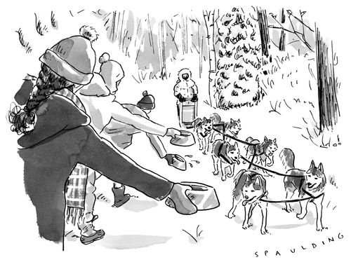 Crowd Holds Out Bowls Of Water For Sled Dogs Running Marathon