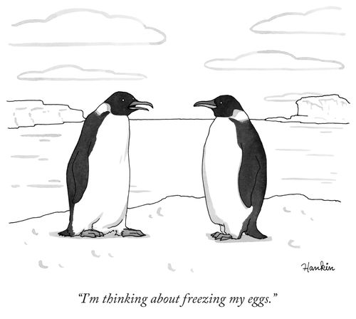 "I'm thinking about freezing my eggs."
