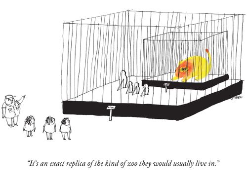 "It's an exact replica of the kind of zoo they would usually live in."