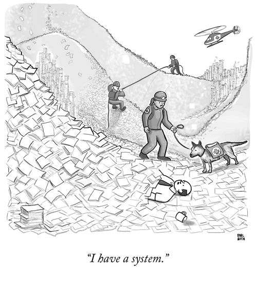 "I have a system."