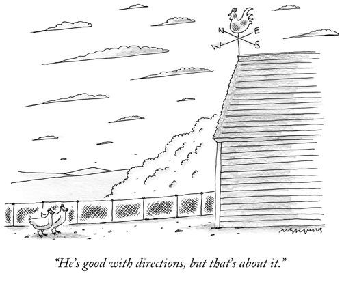 "He's good with directions, but that's about it."
