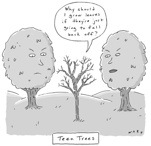 "Why should I grow leaves if they're just going to fall back off?"