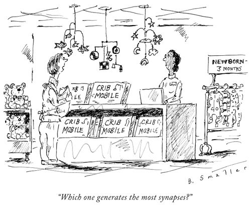 "Which one generates the most synapses?"
